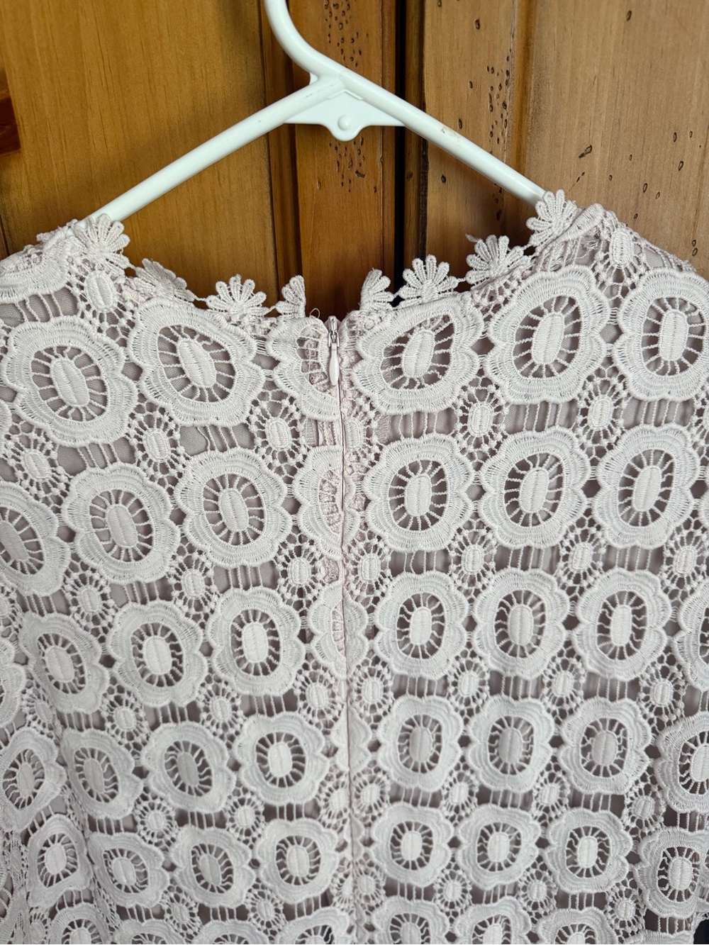 XL Dainty Jewells Dress in Blush Pink - Picture 4 of 7